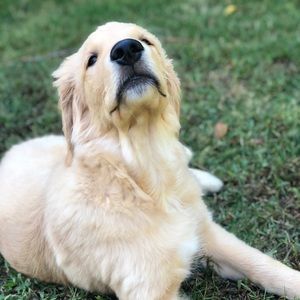 Meet your Posher, Marco